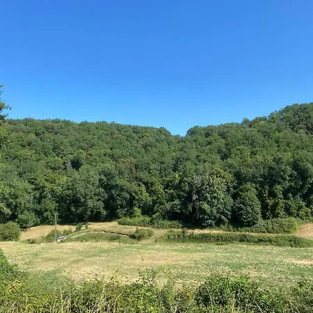 Du Vallon De La Pleu